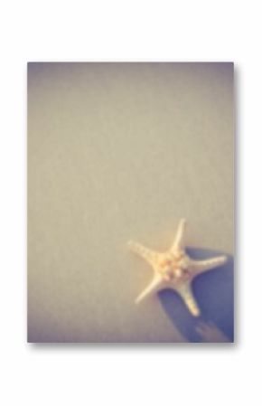 Overhead view of starfish on sand