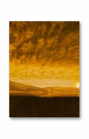 Sun rising in flat design, casting golden light on tall grasses, calm pond, rolling hills