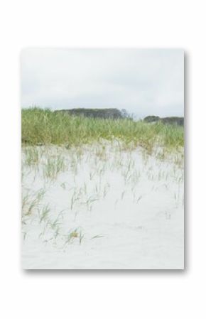 Coastal dunes are being shown in flat design, with white sand, grass, gray sky, shrubs