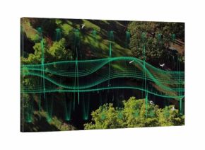 Floating green digital waveforms in park clearing, showing small pond amid dense trees, white birds