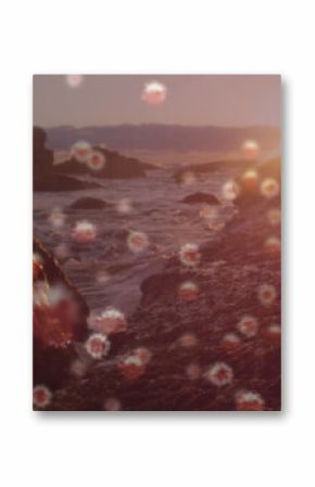 Sunset over rocky coastline with floating virus particles in foreground