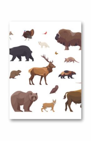 Flat set of north american animals. Isolated animals on white background. Vector illustration