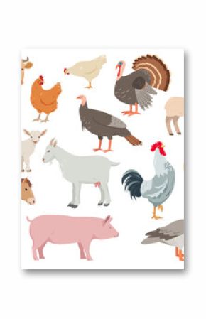 Set of farm animals in different poses and colors. Cow, sheep, pig, ram, horse and goat. Hen, turkey, duck, goose and kids. Vector icons flat or cartoon illustration.