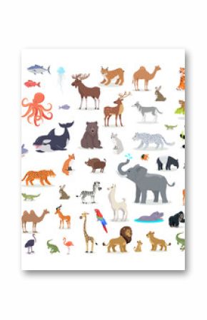 Big Set of World Animal Species Cartoon Vectors 