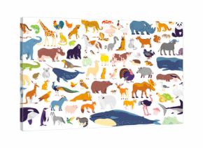 Big vector set of different world wild animals, mammals, fish, reptiles and birds. Rare animals. Funny flat characters, good for banners, prints, patterns, infographics, children book illustration etc