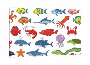 Colorful cartoon sea animals, ocean fish, octopus, shark, dolphin, crab, jellyfish, seahorse, marine creatures illustration, underwater wildlife, aquatic vector clipart