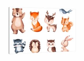 Set of Cute Woodland Animals Illustration 