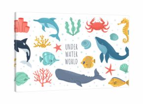 Hand drawn sea animals set. Wild marine life, seashells, fish, seaweed and corals. Whale, octopus, crab, seahorse, dolphin, killer whale, turtle, squid, cachalot. Vector cute cartoon illustration.