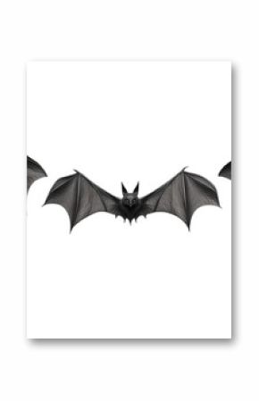 halloween bat and bats