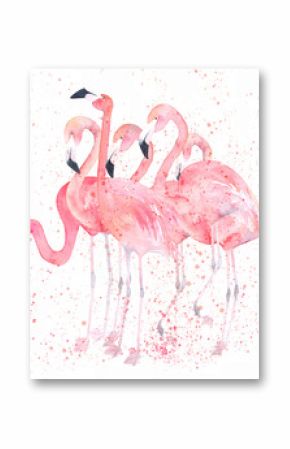 Akwarele flamingi z odrobiną. Malowanie obrazu