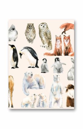 Hand-drawn wildlife set watercolor style