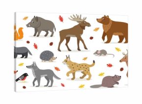 Big set of forest woodland animals isolated on white, owl, squirrel, hare, bear, fox, wolf, badger, hedgehog bullfinch, moose, deer, lynx, boar beaver colorful woodpecker and small mouse vector