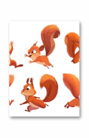 red squirrels cartoon set. brown squirrel, funny amusing cheerful kind cute character jumping running sitting wild forest animal vector illustration