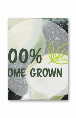 Image of 100 percent home grown text over fruit falling in water background