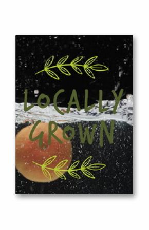 Image of locally grown text over fruit falling in water background