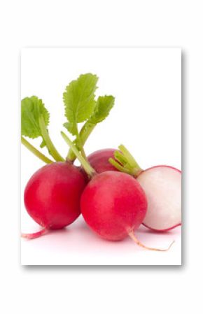 Small garden radish