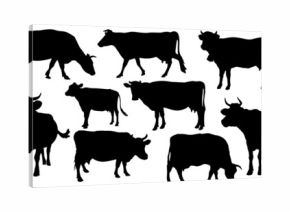 cow silhouettes