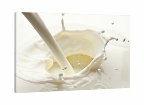 Splash of milk photo. Closeup.