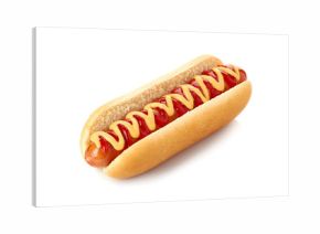 Hot dog with ketchup and mustard on white