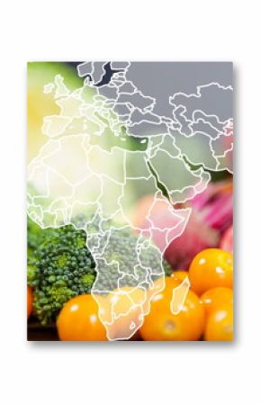 Image of world map over table of vegetable