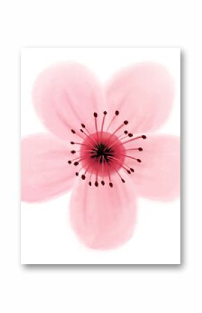 Watercolor blossom is floating on transparent background displaying five pink petals with stamens