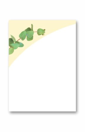 Eucalyptus branch is being shown in flat design with green leaves, teal arc, transparent background
