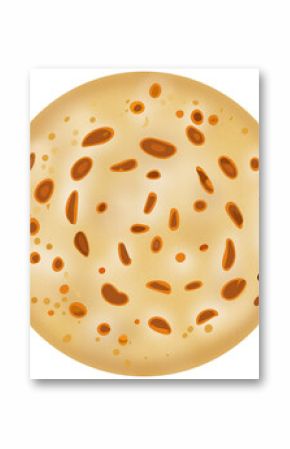 Flat design is showing grainy flatbread topped with seed spots on transparent background