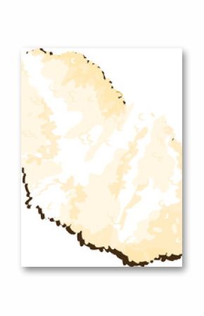 Flat illustration is showing cauliflower floret in light cream tones on transparent background