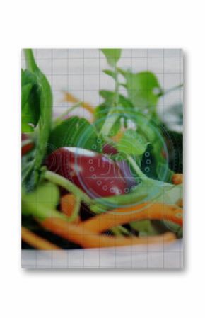 Showing fresh vegetable salad in white bowl on kitchen table with grid and translucent HUD overlay