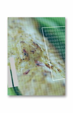 Chicken fillet resting on greens in dashboard, featuring data charts and indicators, grid overlay