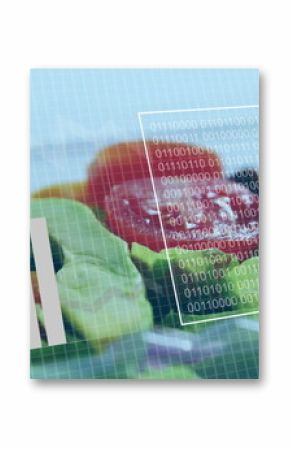 Displaying salad plate with lettuce, tomato, cucumber, olives on blue grid with data overlays