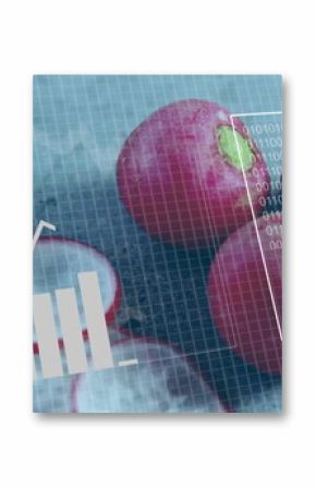 Displaying whole, sliced red radishes projecting overlays on grid mat with bar chart, code, gauge