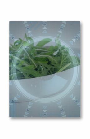 Displaying white bowl with arugula leaves on kitchen countertop, with translucent digital overlay