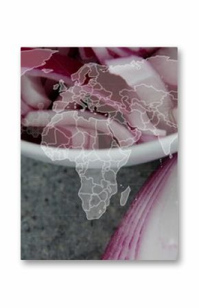 Displaying white bowl holding onion rings on grey countertop with halved onion, world map overlay