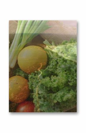 Displaying burlap sack holding vegetables at shoreline, with kale, onions, corn, oranges and tomato