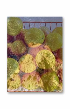 Displaying red wire grid basket holding green apples above rocky outcrop by clear turquoise sea