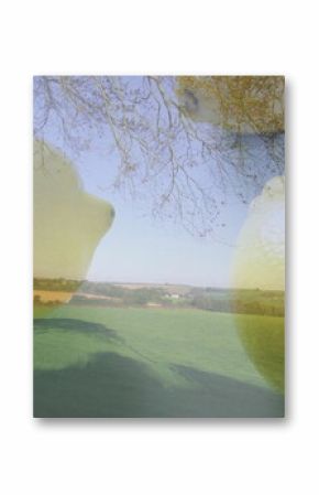 Hovering large semi-transparent yellow lemon above rural field with two smaller lemons, copy space