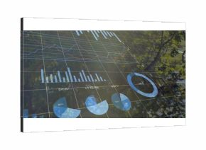 Displaying bar and line charts, pie charts and blue donut chart under tree canopy, copy space