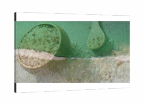 Showcasing green bowl holding coarse salt crystals on mat with wooden spoon, foamy wave, copy space
