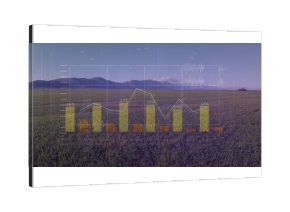 Displaying bar chart and line graph overlaying grassland at dusk with grid lines and numbers