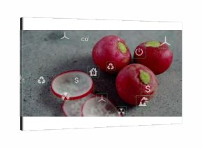 Displaying red radishes and slices on kitchen counter, featuring wind turbine recycle and CO? icons