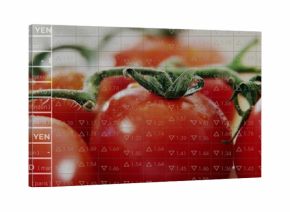 Displaying red tomato cluster on vine in studio, with transparent MXN YEN GBP USD EUR overlay