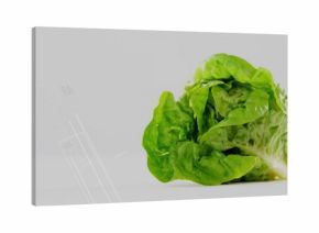 Resting fresh green lettuce head on smooth white tabletop, seamless light gray backdrop, copy space