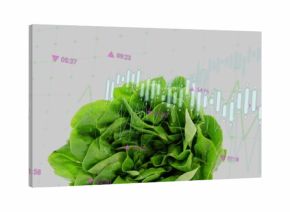 Resting green lettuce on white backdrop, with grid, cyan bars, line graphs and purple time markers