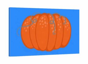 Displaying orange pumpkin showing ridges on bright blue canvas, with curly grey vines