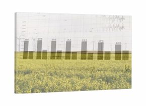 Showing yellow field merging with faint bar chart and numeric labels in farmland, with turbines