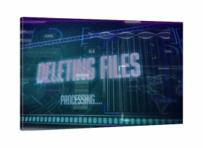 Displaying central DELETING FILES text block on console, showing PROCESSING