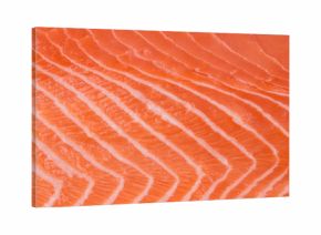 Close up of salmon fillet.