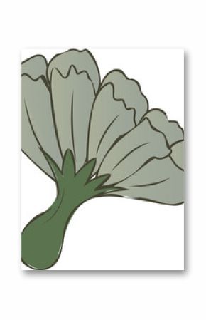 Cluster of pale green oyster mushrooms is floating on transparent background in flat design