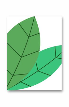 Two flat-design leaves are overlapping on transparent background with geometric veins, copy space